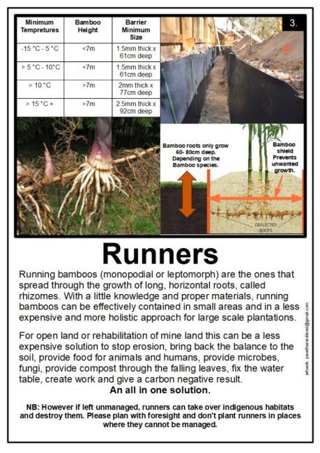 Runners-768x1086